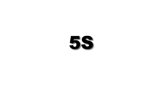 5S Made Simple