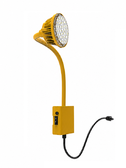 Gooseneck Dock Light